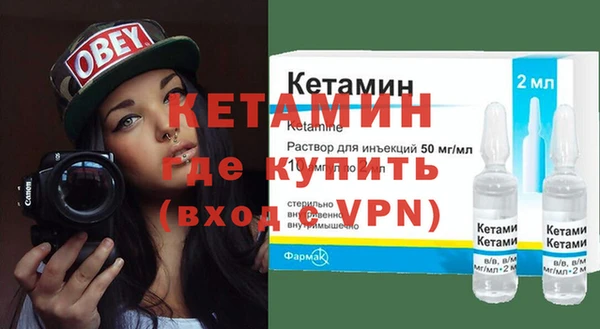 шишки Лабытнанги