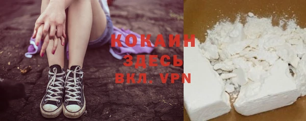 Альфа ПВП Лагань