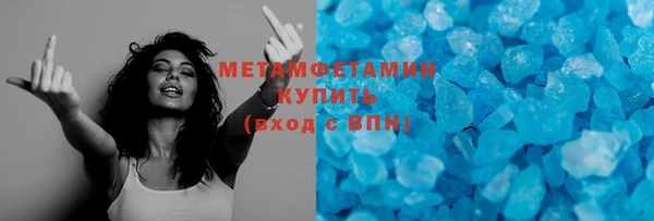 шишки Лабытнанги