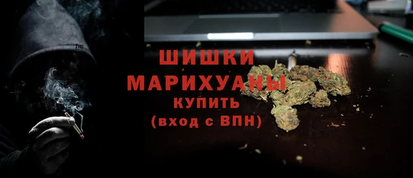 Альфа ПВП Лагань