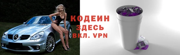 шишки Лабытнанги