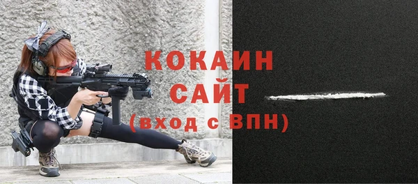шишки Лабытнанги