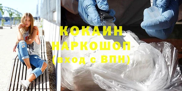 шишки Лабытнанги