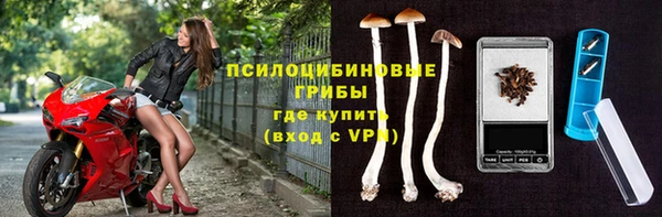 шишки Лабытнанги