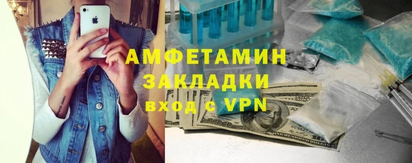 шишки Лабытнанги
