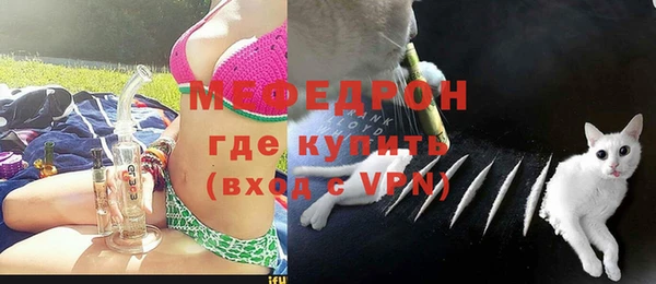 шишки Лабытнанги