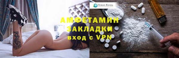 шишки Лабытнанги