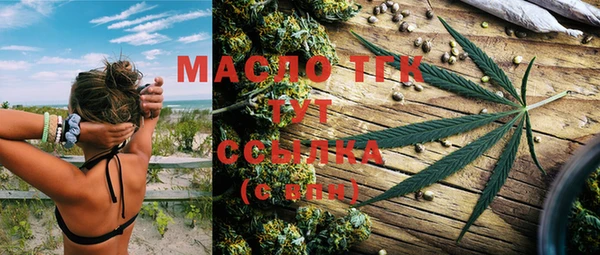 шишки Лабытнанги