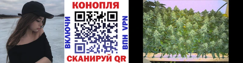 Бошки Шишки White Widow  Купить где  Зея 
